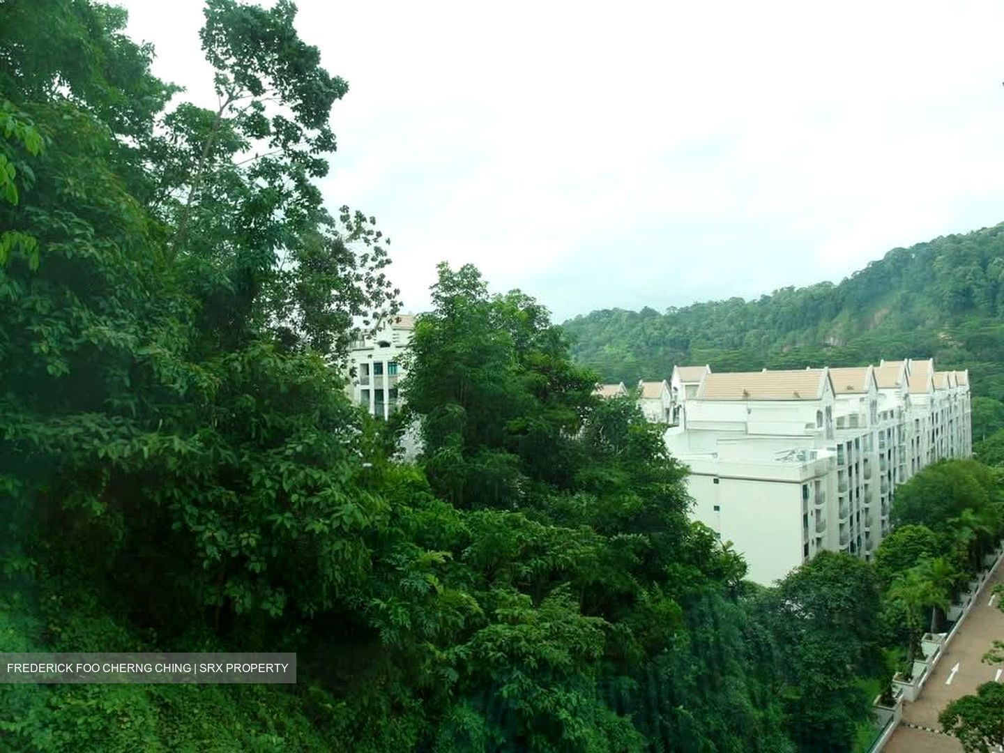 The Hillside (D21), Condominium #566457431